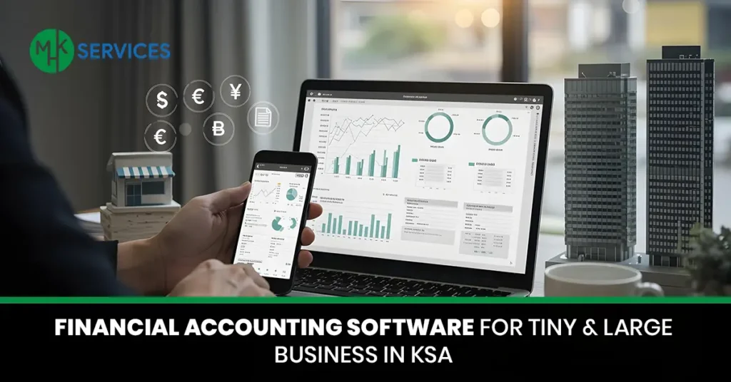 Financial Accounting Software
